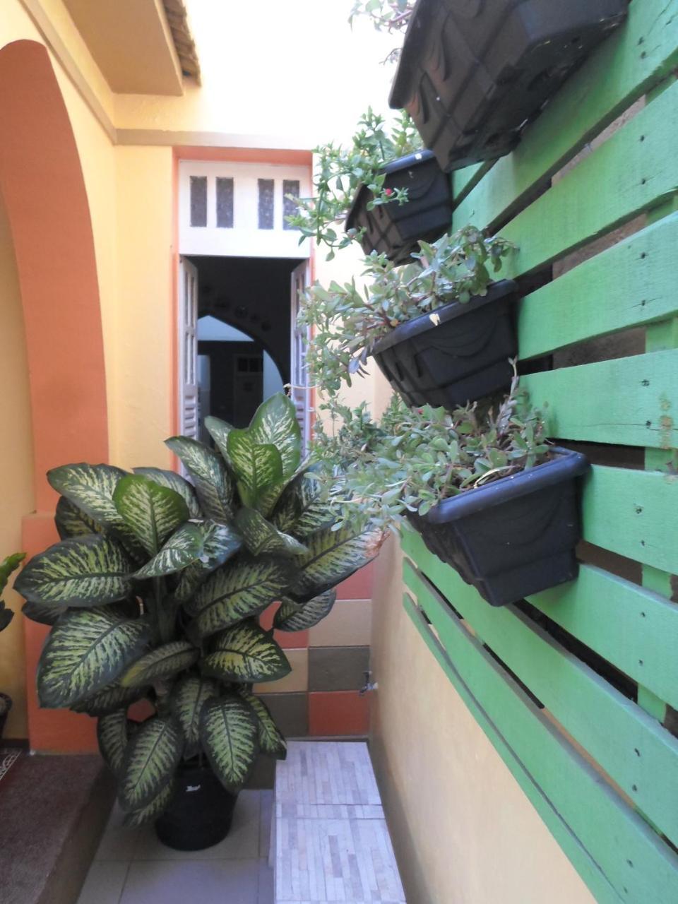 Oasis Do Sertao Hostel E Pousada Triunfo (Pernambuco) Bagian luar foto